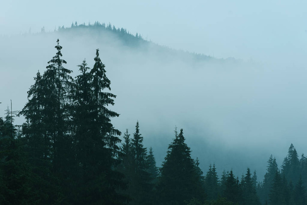 Misty mountain landscape - Fotografie, Obrázek