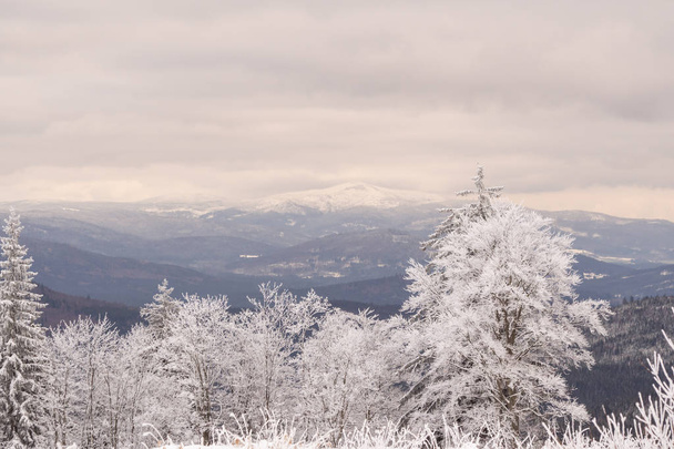 Güzel Bavyera 'da harika bir kış manzarası - Fotoğraf, Görsel