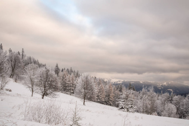 A wonderful winter landscape in beautiful Bavaria - Photo, Image
