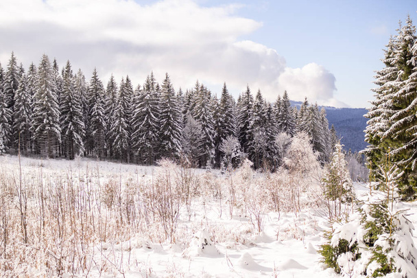 Un magnifique paysage hivernal dans la belle Bavière - Photo, image