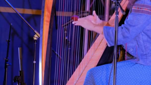 Tuntematon nainen soittaa harppua etnisen ulkoilmakonsertin lavalla
 - Materiaali, video