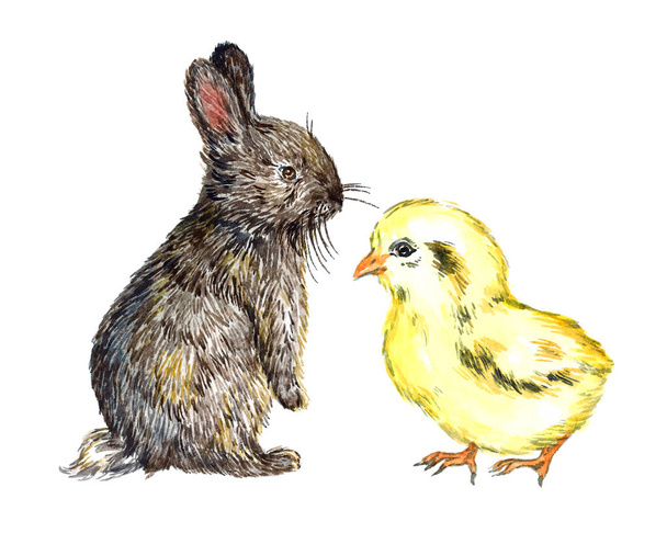 Сірий пухнастий зайчик (кролик) і маленька жовта пташеня
 - Фото, зображення