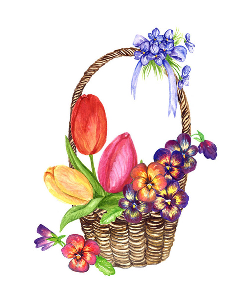 春の花の品種: チューリップ、パンジー、籐のかごの中のスミレ、カードのためのデザイン - 写真・画像