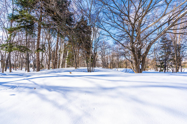 Красивий пейзаж з деревом в зимовий сезон
 - Фото, зображення