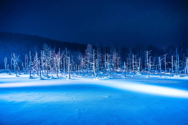 Piękny krajobraz odkryty z rzeka staw niebieski w nocy z l - Zdjęcie, obraz