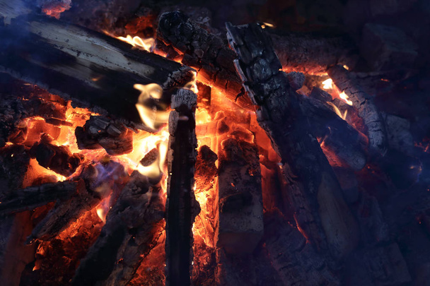 Burning firewood in furnace - Foto, afbeelding