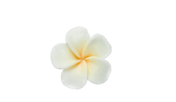 Sapone isolato fatto a mano a forma di fiore su sfondo bianco
 - Foto, immagini