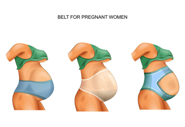 cinturón para mujeres embarazadas
 - Vector, Imagen