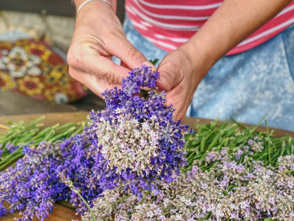 Eller aromatik bitkisel SAP tutun. Fransız Provence  - Fotoğraf, Görsel