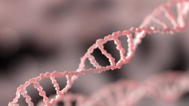 Genetik malzemenin DNA 'sı - Video, Çekim