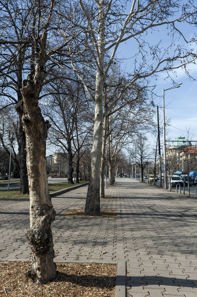 SOFIA, BULGARIA - MARCH 7, 2019:  Typical Building at the center of city of Sofia, Bulgaria - 写真・画像