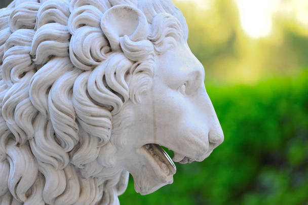 Detalle de la estatua de la cabeza de león en los jardines de Monforte de Valencia
 - Foto, Imagen