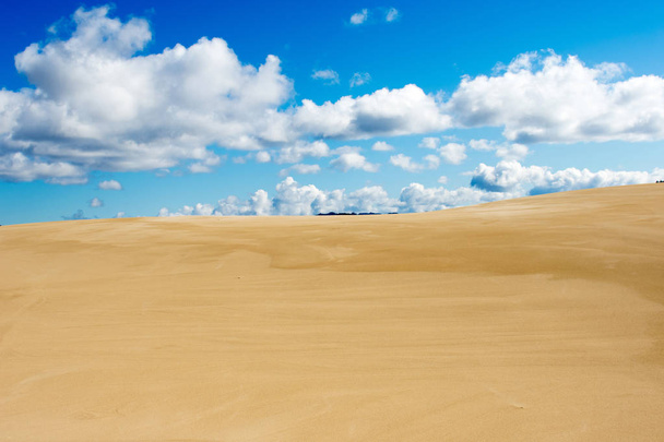 Oregon zandduinen, natuur en landschap  - Foto, afbeelding