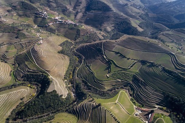 Aerial view of the terraced vineyards in the Douro Valley near the village of Pinhao, Portugal; Concept for travel in Portugal and most beautiful places in Portugal - Zdjęcie, obraz