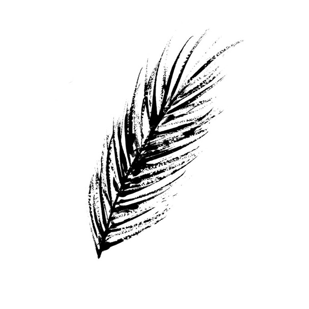 Ilustração de penas em preto e branco, uma pena de pássaro
 - Foto, Imagem