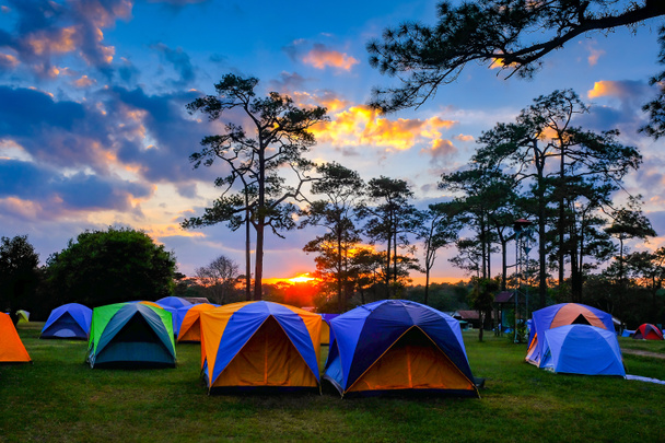 Палаточный лагерь на закате на вершине Phukradueng Тайлан
 - Фото, изображение
