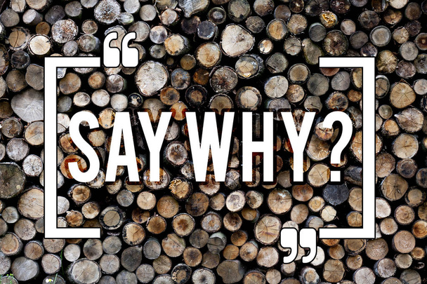 Szöveg írása Whyquestion mond szó. Üzleti koncepció indokolja magyarázatot Express kérdezés kérdés fa háttér szüreti fa vad üzenet ötletek szándékok gondolatok. - Fotó, kép