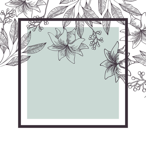 flowers and leafs with frame isolated icon - ベクター画像