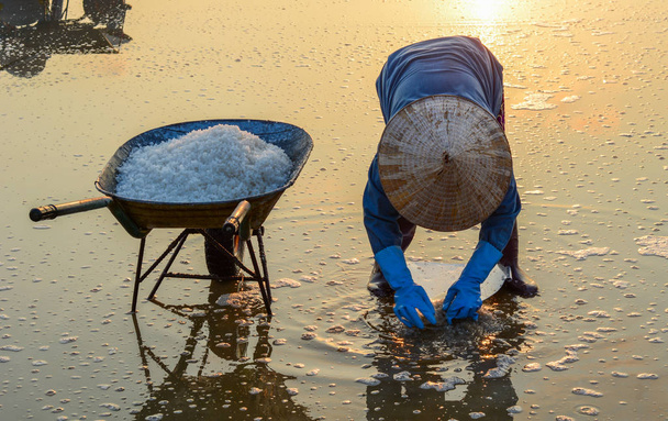 Les gens qui travaillent sur le champ de sel en été
 - Photo, image