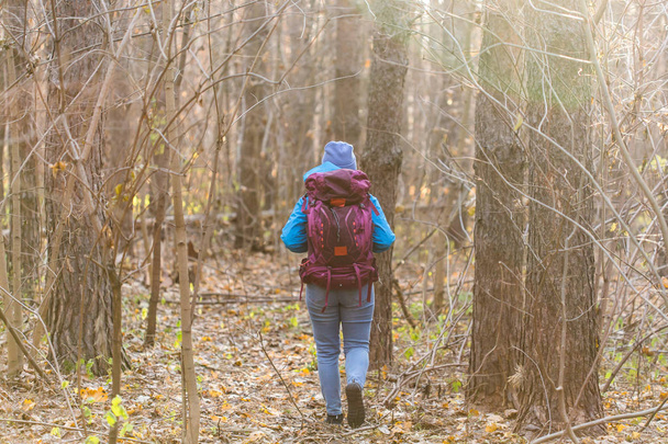 Ember és a természet koncepció-utazó nő séta az erdőben, hátsó nézet - Fotó, kép