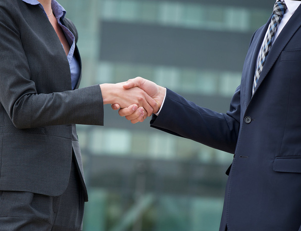 Business Handshake Greeting - Foto, Imagem