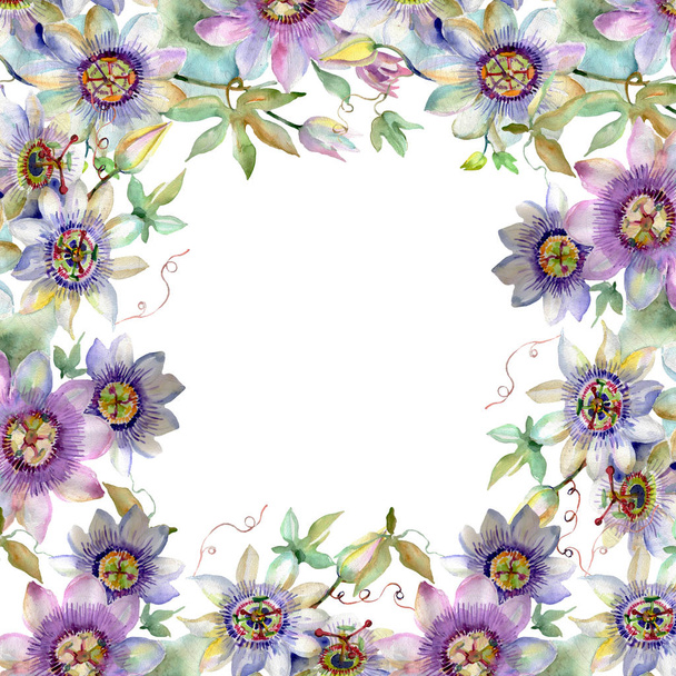 Mazzo di fiori botanici floreali viola blu. Fiore selvatico primaverile isolato. Set di sfondo illustrazione acquerello. Acquerello disegno moda acquerello. Quadrato ornamento bordo cornice
. - Foto, immagini