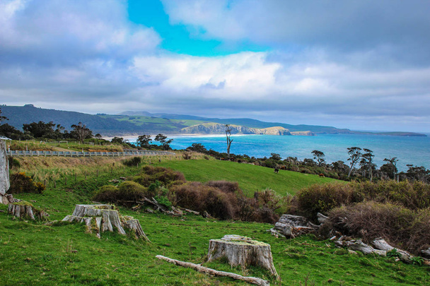 カトリンズ、南の島、ニュージーランドでフィレンツェの丘展望台 - 写真・画像
