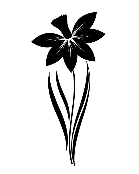 narcissus flower - Διάνυσμα, εικόνα