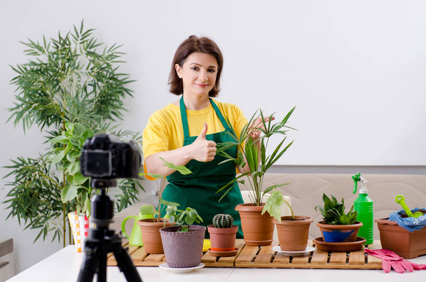 blogger femminile che spiega piante d'appartamento in crescita
  - Foto, immagini