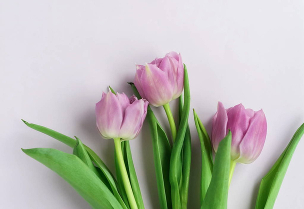 top view of beautiful tulips arranged on grey background - 写真・画像