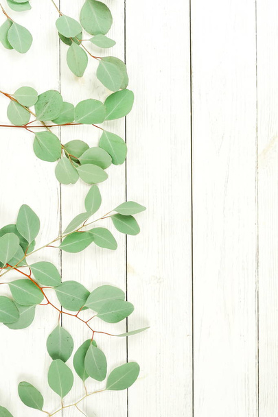 green eucalyptus twigs on white wooden background - Fotoğraf, Görsel