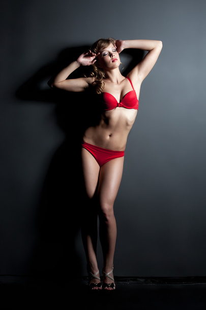 Dreamy slender girl posing in erotic lingerie - Photo, image