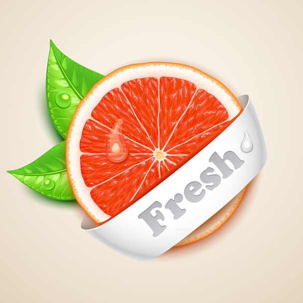 friss grapefruit - Vektor, kép