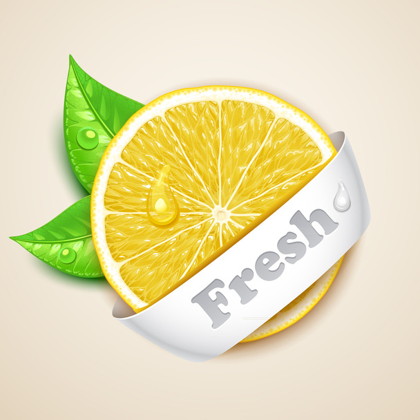 Fresh lemon - Vector, Image
