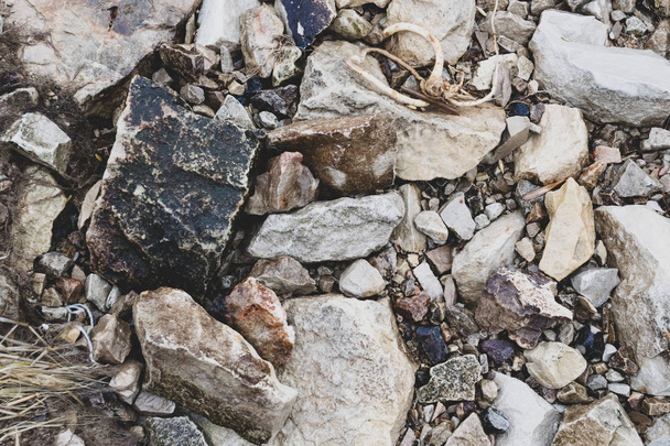 stones on the coast - Фото, зображення
