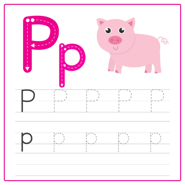 Alphabet-Schreibkarte -p - Vektor, Bild