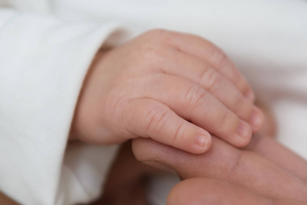 Hand of the newborn. - Φωτογραφία, εικόνα