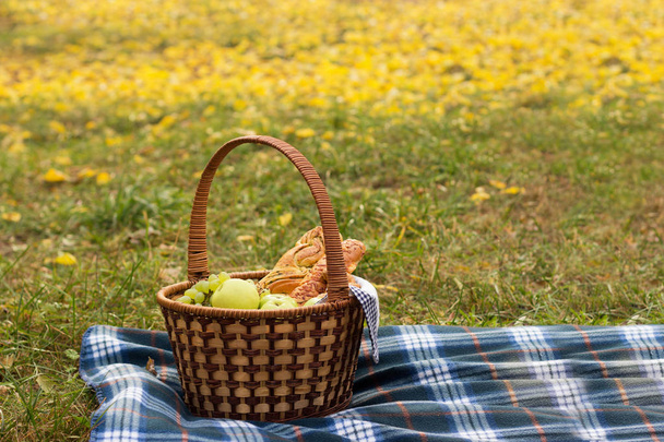 Picnic basket with food on a blue plaid, against the background of greenery and foliage. Baking with fruit inside the basket, the author's processing. - Foto, Imagen