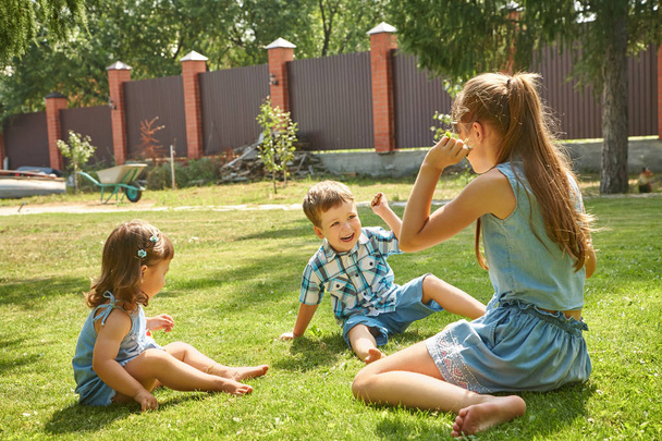 happy playful children outdoors in the summer on grass in a backyard - Фото, изображение