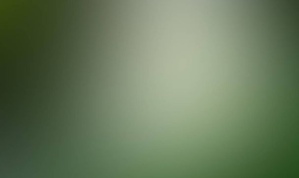 Grüner Farbverlauf verschwimmt Hintergrund. Hintergrund für Design und Web. leichter abstrakter Hintergrund. - Foto, Bild