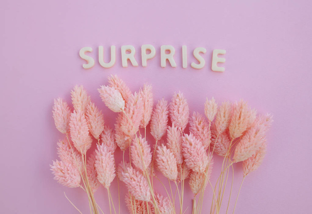 Beautiful pink dried flowers on a pink background with the inscription surprise in white letters and free space for the text - Foto, imagen
