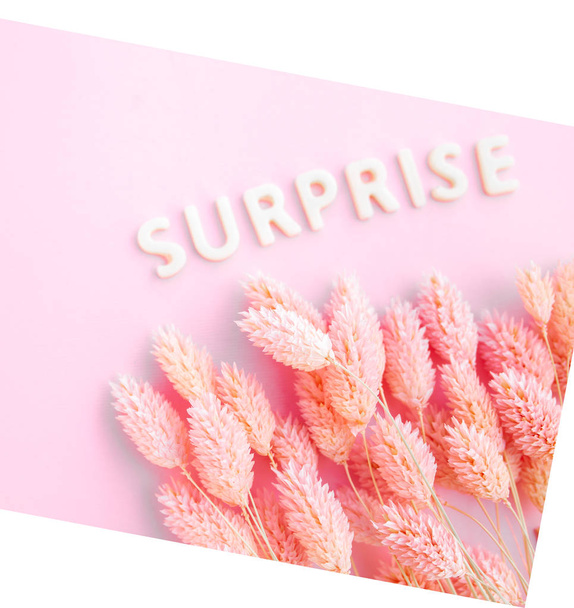 Beautiful pink dried flowers on a pink background with the inscription surprise in white letters and free space for the text - Fotoğraf, Görsel