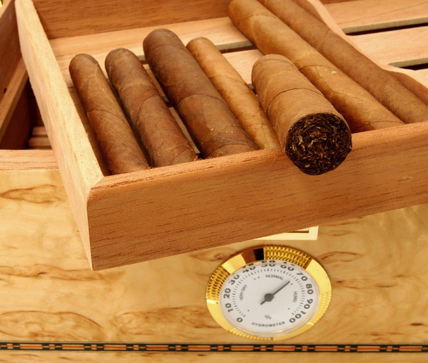 Cigars in open humidor box - Photo, Image