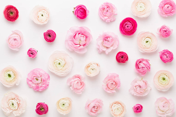 Beautiful colored ranunculus flowers on a white background. Spri - Photo, image