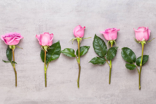 Flowers valentine day composition. Frame made of pink rose on gr - Foto, Imagem