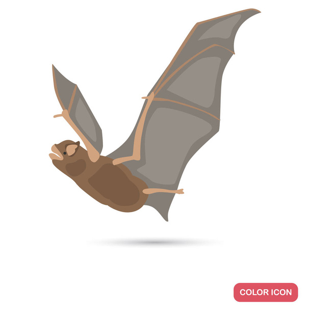 Bat olor flat icon for web and mobile design - Vector, Image
