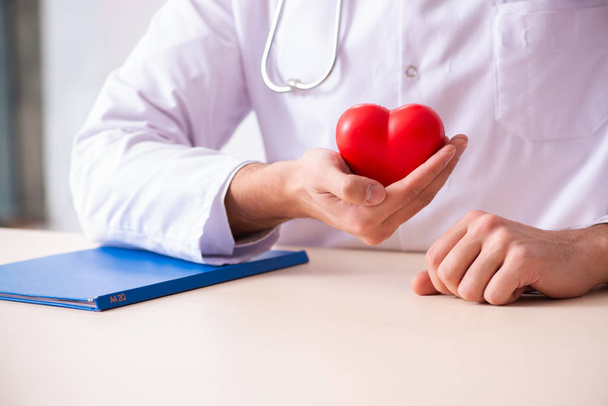 Мужчина-кардиолог держит модель сердца
  - Фото, изображение