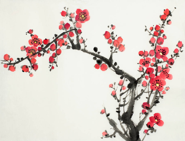plum blossom branch - Zdjęcie, obraz
