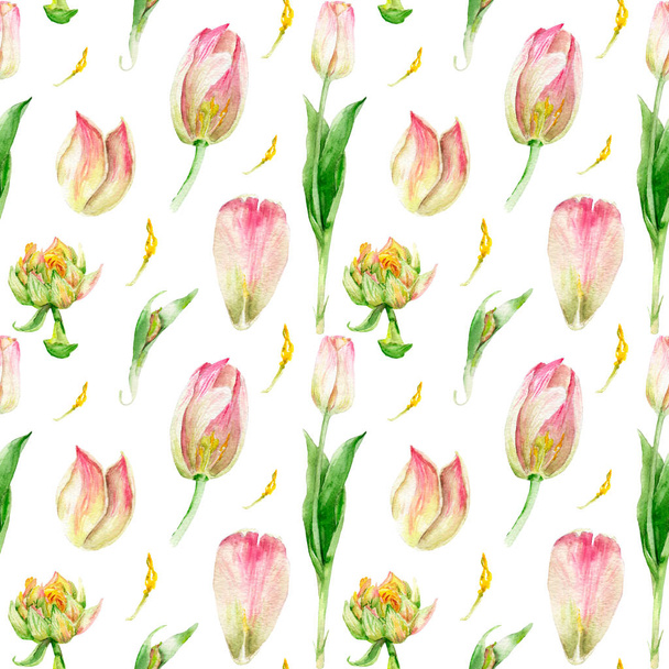 watercolor drawing flowers in a cut, tulip, seamless pattern - Photo, Image