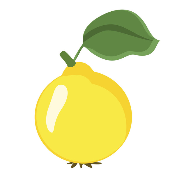 pear flat simple illustration - Vektori, kuva